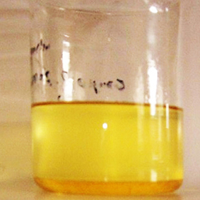 bio